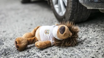 В Воложинском районе автомобиль насмерть сбил ребёнка: подробности ДТП