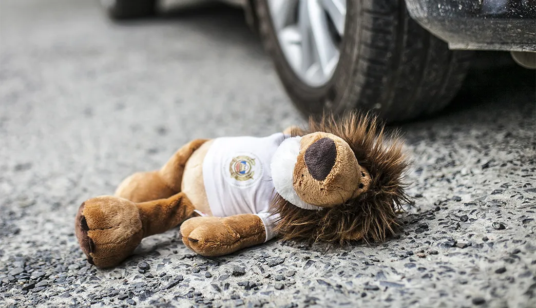 В Воложинском районе автомобиль насмерть сбил ребёнка: подробности ДТП