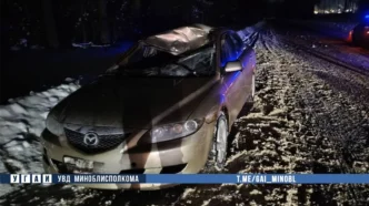 ДТП с лосем в Минской области — водитель Mazda госпитализирован