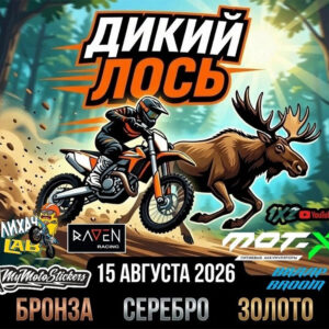 15 августа 2026 – Дикий лось Ленинградская обл., с.п. Юкковское